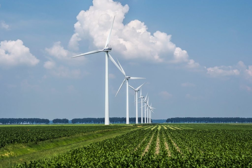 Photo d'une rangée d'éolienne représentant le secteur de l'énergie
